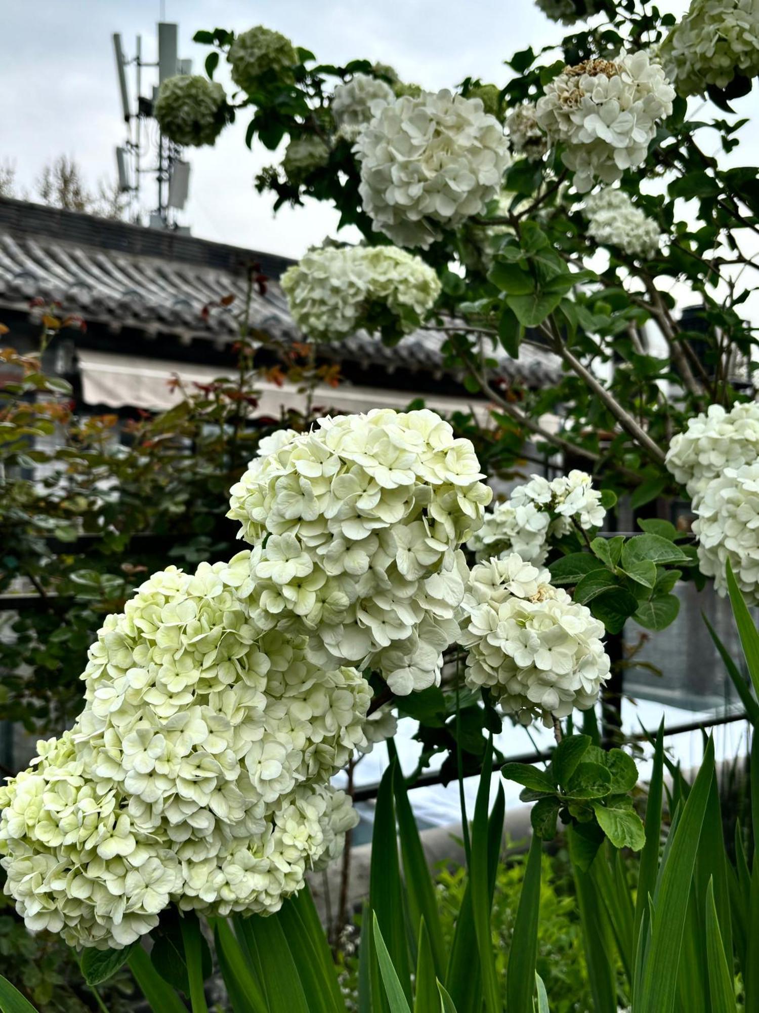 Honglu Garden Hotel Xi'An Bell And Drum Tower Huimin Street Store Eksteriør bilde